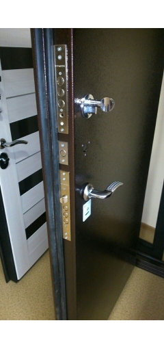 Дверь металлическая входная Троя (металл/металл) image 5