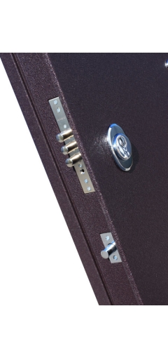 Дверь металлическая входная Троя Бордо беленый дуб image 8