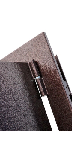 Дверь металлическая входная Троя (металл/металл) image 7