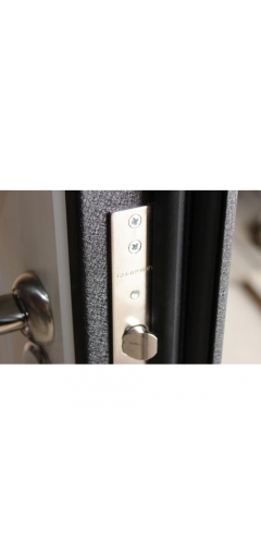 Дверь металлическая входная Трио (серебро/бел.дуб) image 6