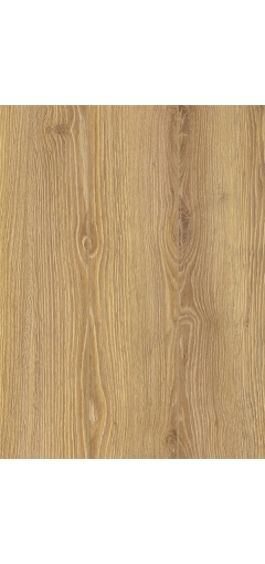 CLASSEN STAR ДУБ ПРАТО