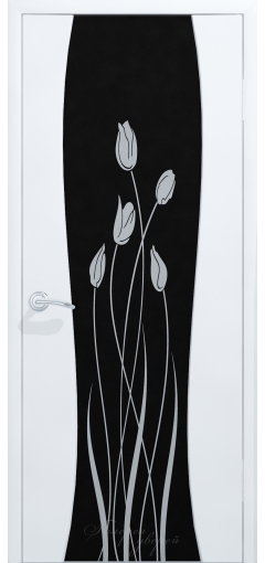 Дверь межкомнатная Сириус Полное с рисунком image 1