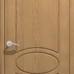 Дверь межкомнатная Алина ДГ image 2